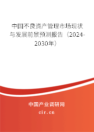 中國不良資產(chǎn)管理市場現(xiàn)狀與發(fā)展前景預測報告（2024-2030年）