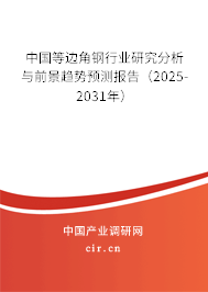 中國等邊角鋼行業(yè)研究分析與前景趨勢預測報告（2025-2031年）