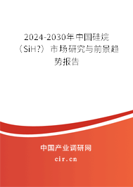 2024-2030年中國(guó)硅烷（SiH?）市場(chǎng)研究與前景趨勢(shì)報(bào)告