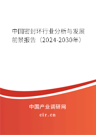 中國(guó)密封環(huán)行業(yè)分析與發(fā)展前景報(bào)告（2024-2030年）