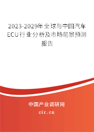 2023-2029年全球與中國汽車ECU行業(yè)分析及市場前景預(yù)測報告