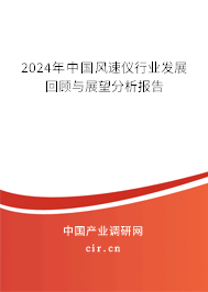 2024年中國風(fēng)速儀行業(yè)發(fā)展回顧與展望分析報告