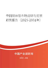 中國(guó)鋼絲鉗市場(chǎng)調(diào)研與前景趨勢(shì)報(bào)告（2025-2031年）