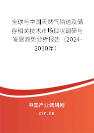 全球與中國天然氣輸送及儲存相關(guān)技術(shù)市場現(xiàn)狀調(diào)研與發(fā)展趨勢分析報告（2024-2030年）