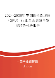 2024-2030年中國(guó)圖形處理器（GPU）行業(yè)全面調(diào)研與發(fā)展趨勢(shì)分析報(bào)告