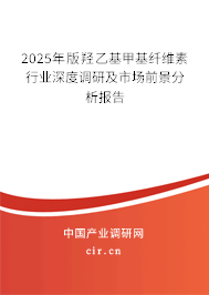 2025年版羥乙基甲基纖維素行業(yè)深度調(diào)研及市場(chǎng)前景分析報(bào)告