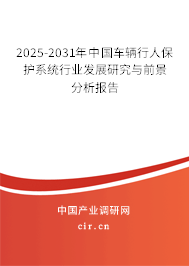 2025-2031年中國車輛行人保護(hù)系統(tǒng)行業(yè)發(fā)展研究與前景分析報告