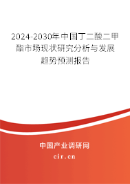 2024-2030年中國丁二酸二甲酯市場現(xiàn)狀研究分析與發(fā)展趨勢預測報告