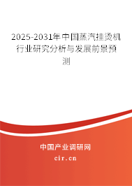 2025-2031年中國(guó)蒸汽掛燙機(jī)行業(yè)研究分析與發(fā)展前景預(yù)測(cè)