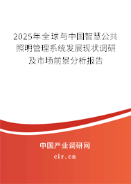 2025年全球與中國(guó)智慧公共照明管理系統(tǒng)發(fā)展現(xiàn)狀調(diào)研及市場(chǎng)前景分析報(bào)告