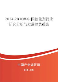 2024-2030年中國(guó)催化劑行業(yè)研究分析與發(fā)展趨勢(shì)報(bào)告