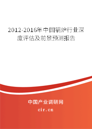 2012-2016年中國鍋爐行業(yè)深度評估及前景預(yù)測報(bào)告