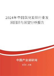 2024年中國氯化亞砜行業(yè)發(fā)展回顧與展望分析報(bào)告