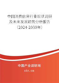 中國消費信貸行業(yè)現(xiàn)狀調(diào)研及未來發(fā)展趨勢分析報告（2024-2030年）