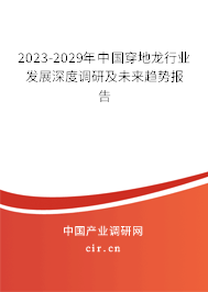 2023-2029年中國穿地龍行業(yè)發(fā)展深度調研及未來趨勢報告