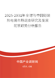 2025-2031年全球與中國鎧裝熱電偶市場調(diào)查研究及發(fā)展前景趨勢分析報告