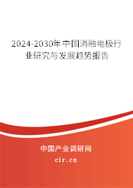 2024-2030年中國消融電極行業(yè)研究與發(fā)展趨勢報(bào)告