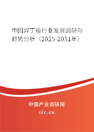 中國異丁胺行業(yè)發(fā)展調(diào)研與趨勢分析（2025-2031年）