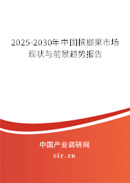 2025-2030年中國(guó)檳榔果市場(chǎng)現(xiàn)狀與前景趨勢(shì)報(bào)告