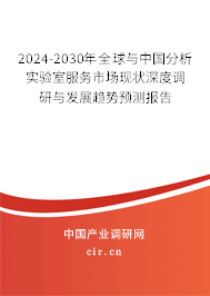 2024-2030年全球與中國分析實驗室服務市場現(xiàn)狀深度調(diào)研與發(fā)展趨勢預測報告