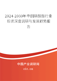 2024-2030年中國磷酸酯行業(yè)現(xiàn)狀深度調(diào)研與發(fā)展趨勢報告