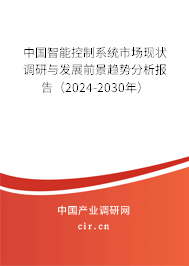 中國智能控制系統(tǒng)市場現(xiàn)狀調(diào)研與發(fā)展前景趨勢分析報告（2024-2030年）