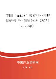 中國“光伏+”模式行業(yè)市場調(diào)研與行業(yè)前景分析（2024-2029年）