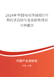 2024年中國電視傳媒細(xì)分市場現(xiàn)狀調(diào)研與發(fā)展趨勢預(yù)測分析報告