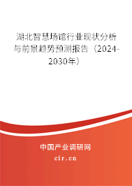 湖北智慧場館行業(yè)現(xiàn)狀分析與前景趨勢預(yù)測報告（2024-2030年）