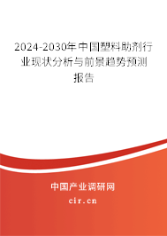 2024-2030年中國塑料助劑行業(yè)現(xiàn)狀分析與前景趨勢預(yù)測報告