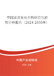 中國波浪發(fā)電市場研究與趨勢分析報告（2024-2030年）