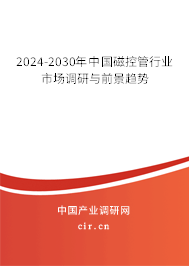 2024-2030年中國(guó)磁控管行業(yè)市場(chǎng)調(diào)研與前景趨勢(shì)