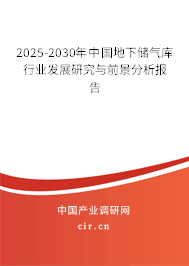 2025-2030年中國地下儲氣庫行業(yè)發(fā)展研究與前景分析報(bào)告