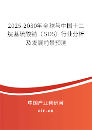 2025-2030年全球與中國十二烷基硫酸鈉（SDS）行業(yè)分析及發(fā)展前景預(yù)測(cè)