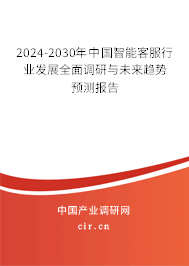 2024-2030年中國(guó)智能客服行業(yè)發(fā)展全面調(diào)研與未來(lái)趨勢(shì)預(yù)測(cè)報(bào)告