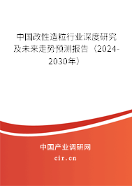 中國改性造粒行業(yè)深度研究及未來走勢預(yù)測報告（2024-2030年）