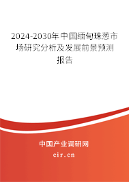 2024-2030年中國緬甸珠蔥市場研究分析及發(fā)展前景預(yù)測報(bào)告