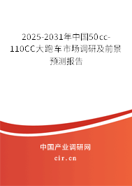 2025-2031年中國(guó)50cc-110CC大跑車(chē)市場(chǎng)調(diào)研及前景預(yù)測(cè)報(bào)告