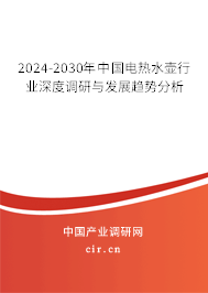 2024-2030年中國電熱水壺行業(yè)深度調研與發(fā)展趨勢分析