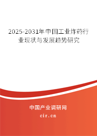 2025-2031年中國工業(yè)炸藥行業(yè)現(xiàn)狀與發(fā)展趨勢研究