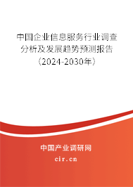 中國(guó)企業(yè)信息服務(wù)行業(yè)調(diào)查分析及發(fā)展趨勢(shì)預(yù)測(cè)報(bào)告（2024-2030年）