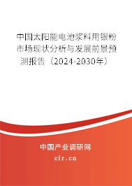 中國(guó)太陽(yáng)能電池漿料用銀粉市場(chǎng)現(xiàn)狀分析與發(fā)展前景預(yù)測(cè)報(bào)告（2024-2030年）