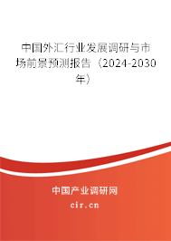 中國(guó)外匯行業(yè)發(fā)展調(diào)研與市場(chǎng)前景預(yù)測(cè)報(bào)告（2024-2030年）