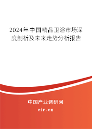 2024年中國精品衛(wèi)浴市場深度剖析及未來走勢分析報告