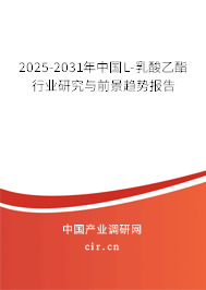 2024-2030年中國L-乳酸乙酯行業(yè)研究與前景趨勢報告