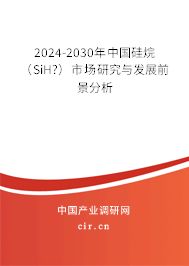 2024-2030年中國硅烷（SiH?）市場研究與發(fā)展前景分析