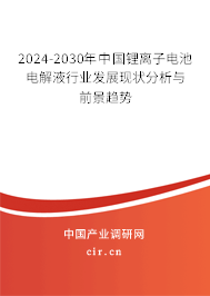 2024-2030年中國鋰離子電池電解液行業(yè)發(fā)展現(xiàn)狀分析與前景趨勢