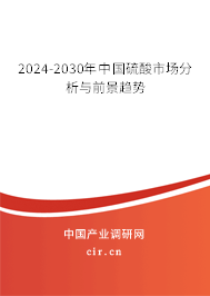 2024-2030年中國(guó)硫酸市場(chǎng)分析與前景趨勢(shì)