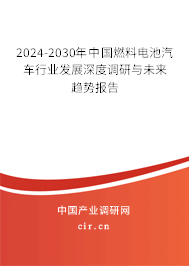 2024-2030年中國燃料電池汽車行業(yè)發(fā)展深度調研與未來趨勢報告