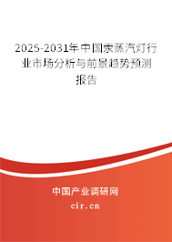 2025-2031年中國汞蒸汽燈行業(yè)市場分析與前景趨勢預(yù)測報告